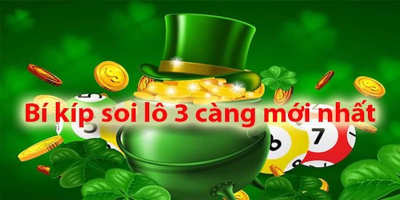 Hướng dẫn cách tìm lô 3 càng đẹp nhất Hướng dẫn cách tìm lô 3 càng đẹp nhất